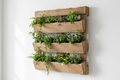 Vertikaler Garten / Wandpflanzregal aus recycelten Europaletten mit Pflanzen
